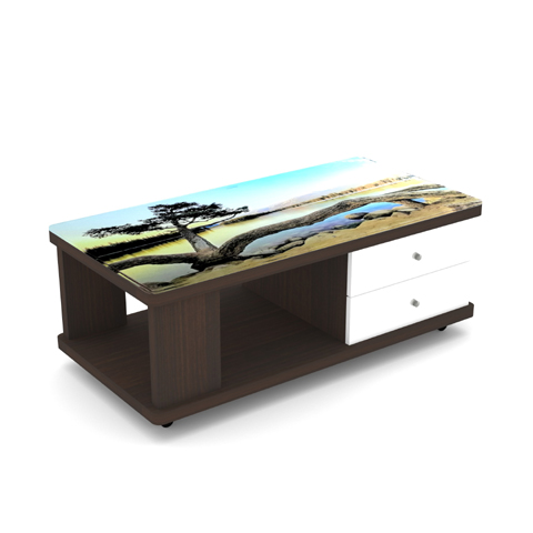 SCT 318 Coffee Table